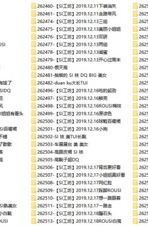 街拍大师-黄金VIP图片打包下载，共2303套2.7万余张街拍摄影图片打包，大小73GB！