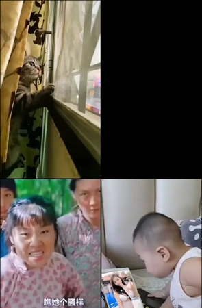 第554期–主播【杀青鸡】共160个短视频合集，时长共0:39:0，大小0.89GB！