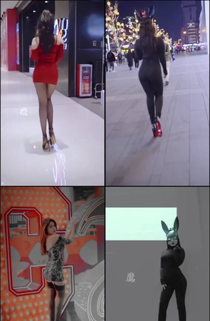 第339期–主播【猫头鹰摄影～尊】共2666个短视频合集，时长共7:53:49，大小11.51GB！