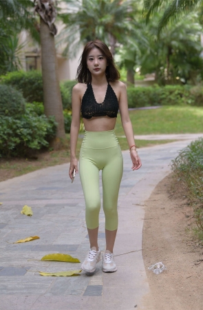 一只麋鹿摄影作品 绿匣子里的猫