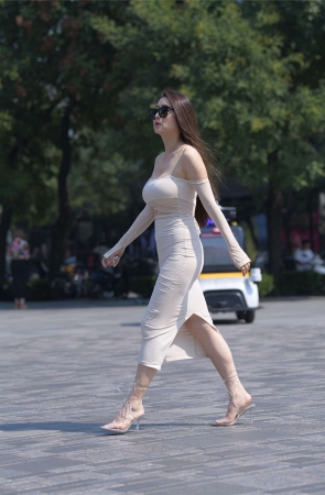 一只麋鹿摄影作品 冷暖自知