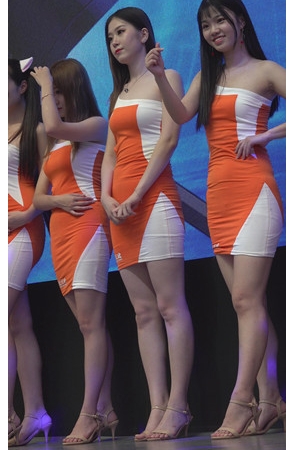 一群漂亮的模特小姐姐