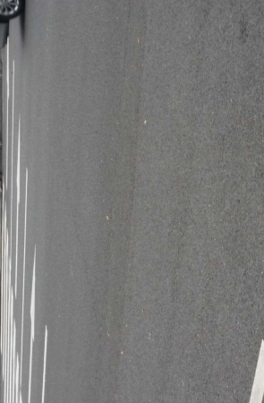 正在等车的短裙洋妞