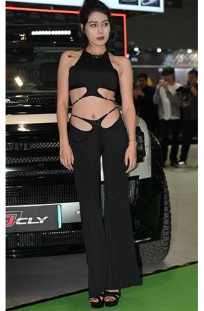 性感的黑裤车模美女(58P)