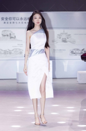 LB517-46P 成都车展-奇瑞展台的美女主持和美女车模走秀