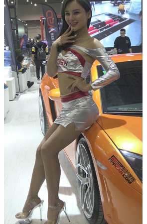 性感的银裙车模MM