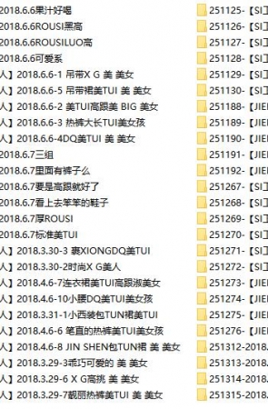 街拍大师-贵宾VIP图片打包下载，共3103套3.7万余张街拍摄影图片打包，大小101GB！