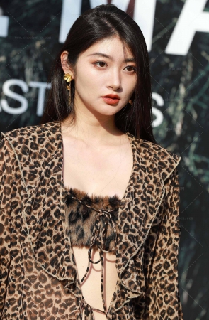 时尚豹纹衬衫黑丝 8P