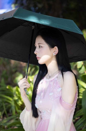 粉色长裙 [163P-1.74GB]