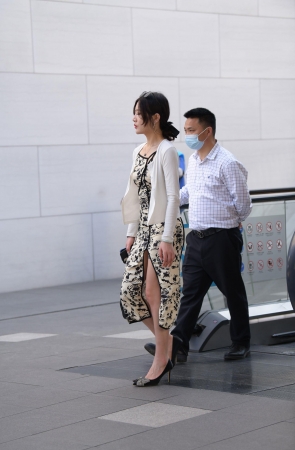 2252-8+106/韵味开衩裙少妇