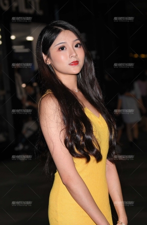 又见：叶子大人