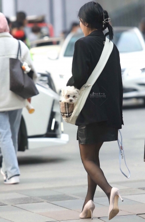 诱惑黑 丝高跟shaofu-15P