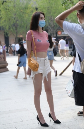 丰满可爱的小猫咪