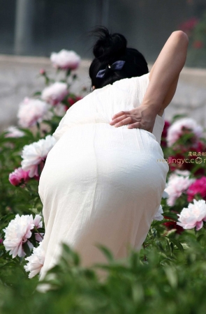 第287总觉得有些透 —-16P