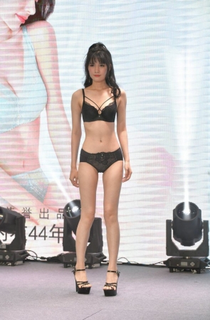 内衣展19 [84P-2.28GB]