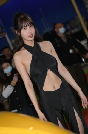 改装车，黑美人