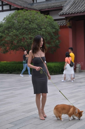 搭讪遛狗狗的灰色群性感美女