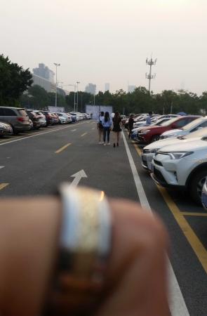 一身气质黑 美不胜收