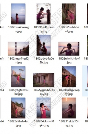 意图语美女写真站全站图片打包， 共9759套248665张图片，大小282GB！