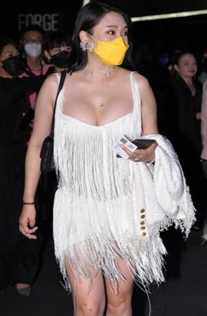 性感的长发美女(87P)