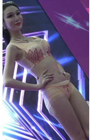 内衣模特小姐姐