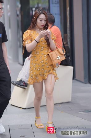 碎花裙美女3A2717[1.14G]