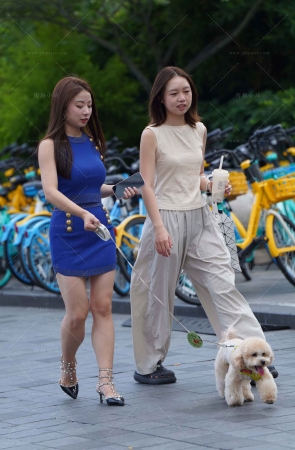 养狗狗的蓝色裙美腿美女