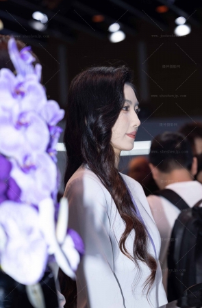 LB009-72P 某展台拍到的几位高端前台礼仪小姐 12P