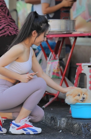 第五篇–漫步美功铁道市场