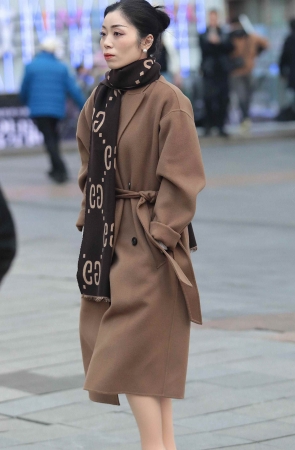 气质肉丝街拍少妇