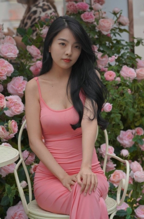 柔美粉色长裙 [152P-1.62GB]