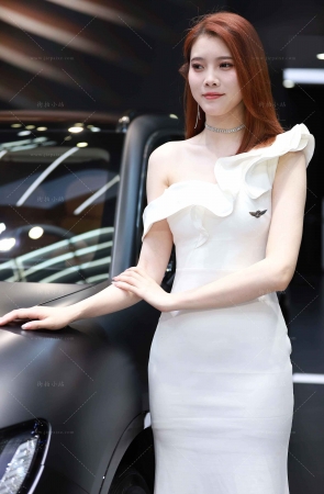 长裙车模