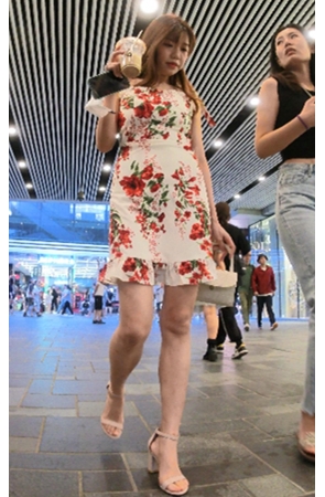 花裙美女