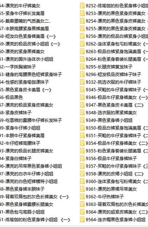 街拍视界论坛-街拍VIP视频区街拍视频打包，共1779套街拍视频下载合集！