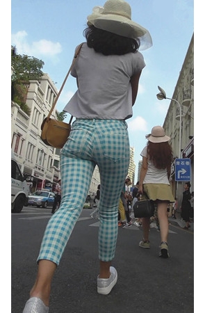 格子紧身小脚裤美女