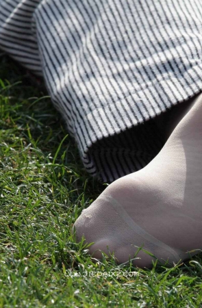 阳光草地上阅读的短袜美女