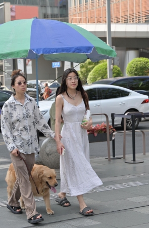 细品，真空上阵的遛狗小姐姐