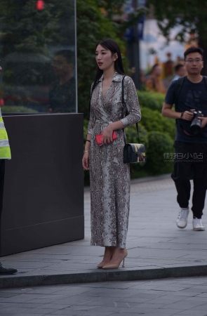 街拍长裙小姐姐