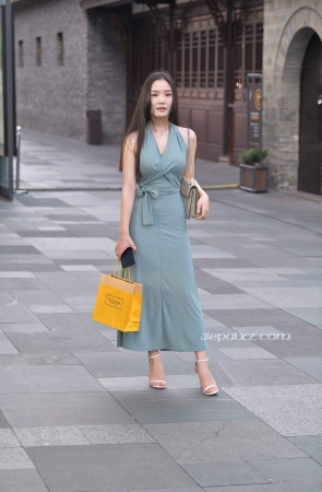 知性的连衣长裙美女姐姐