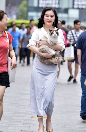 左手倒影赛帖：大气唯美的美女与她可爱的宠猫猫