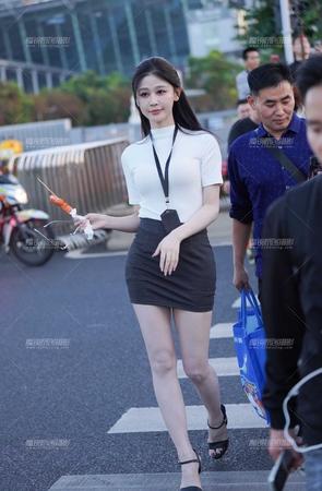 职业装短裙 [14P]